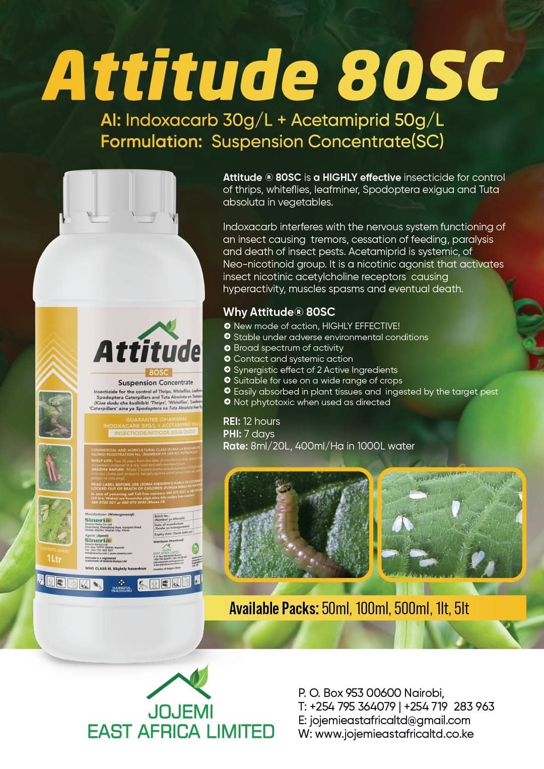 ATTITUDE 80SC view 1