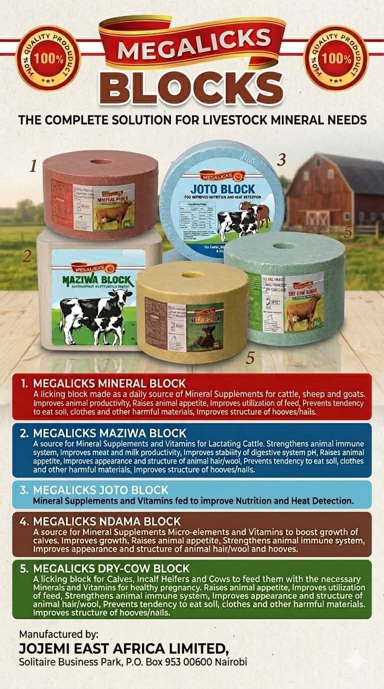 MEGALICKS DAIRY view 1